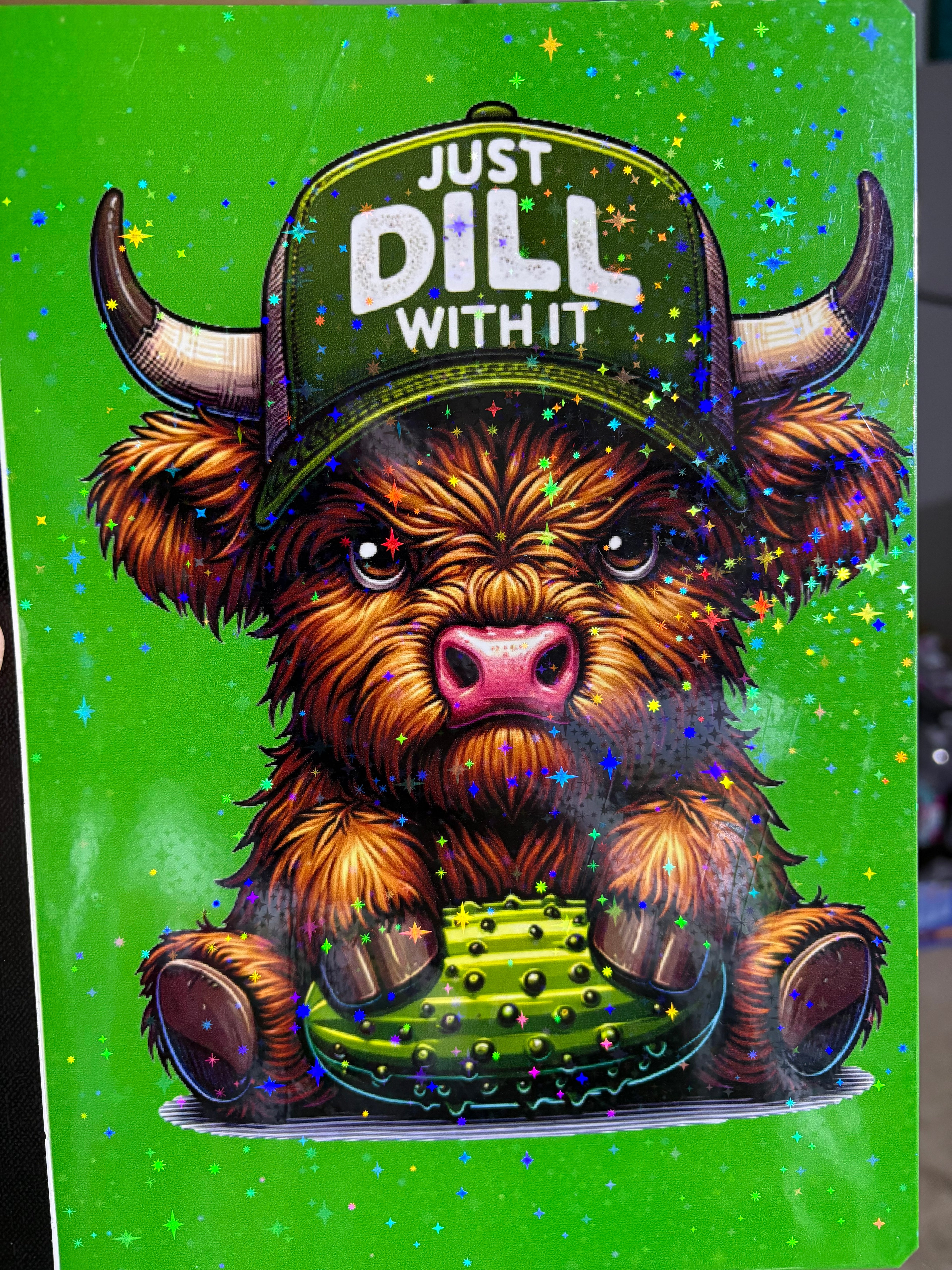 COMPOSITION NOTEBOOKS VARIETY