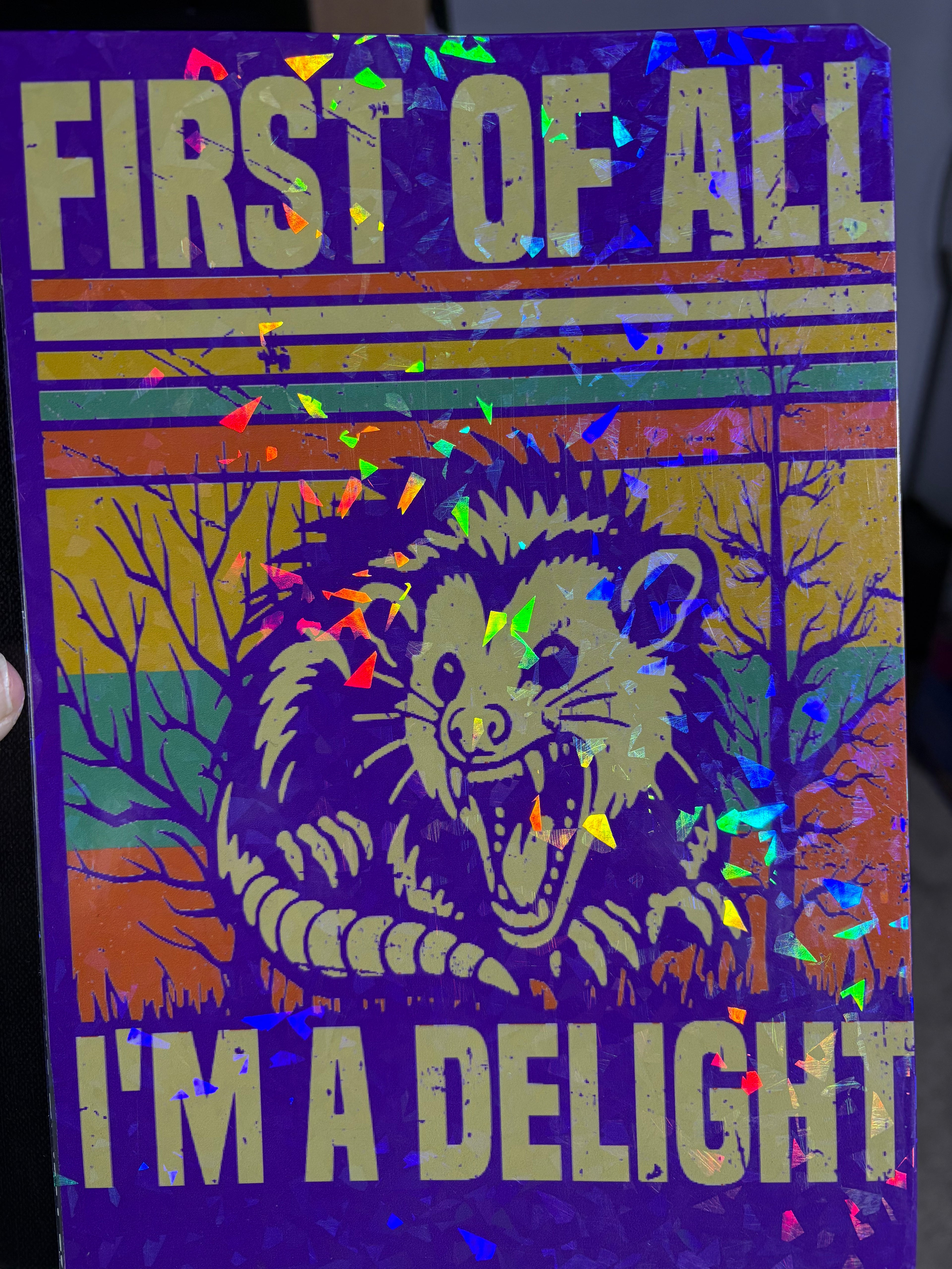 COMPOSITION NOTEBOOKS VARIETY