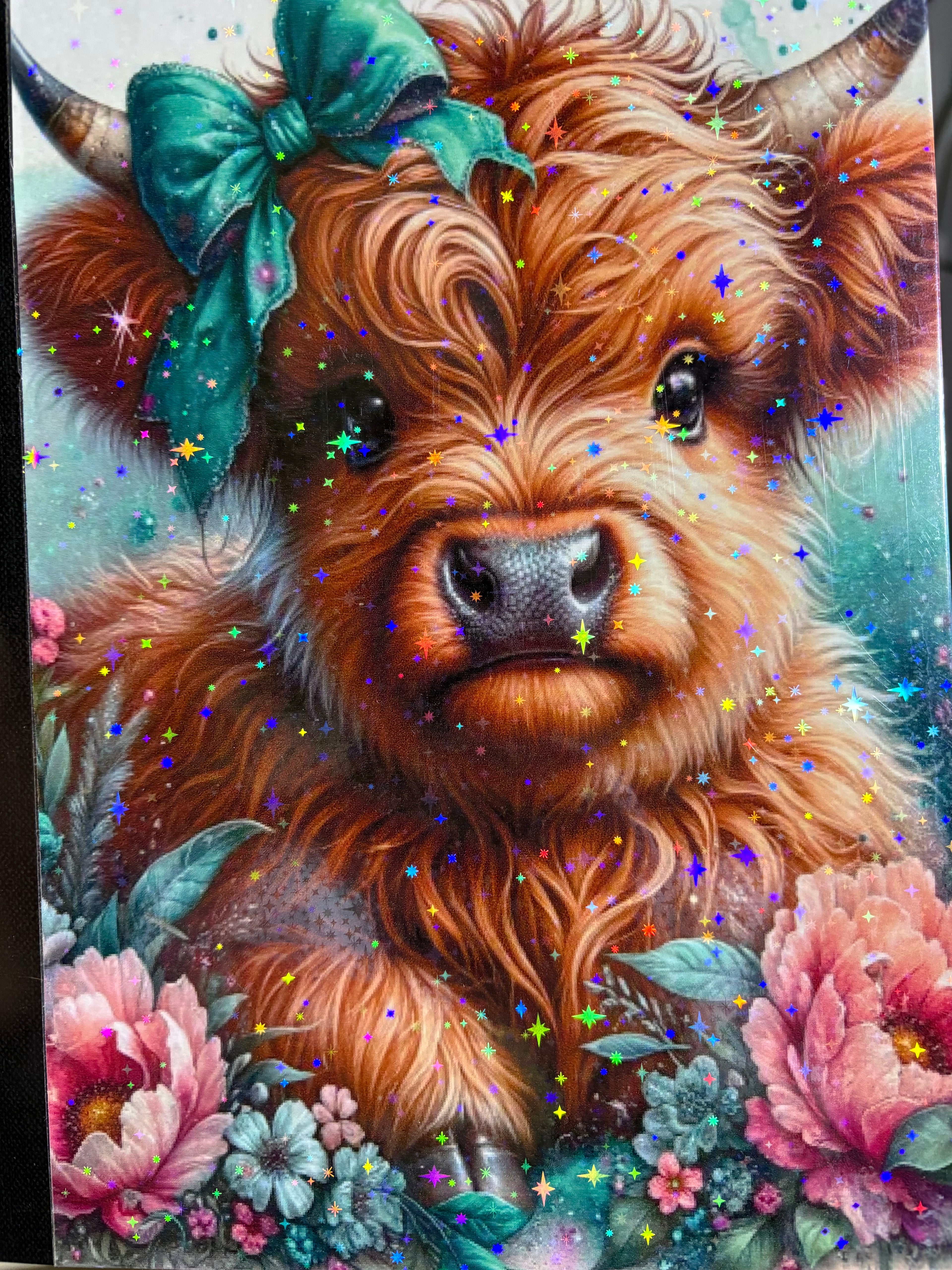 COMPOSITION NOTEBOOKS VARIETY